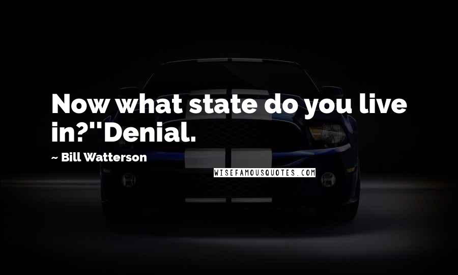 Bill Watterson Quotes: Now what state do you live in?''Denial.