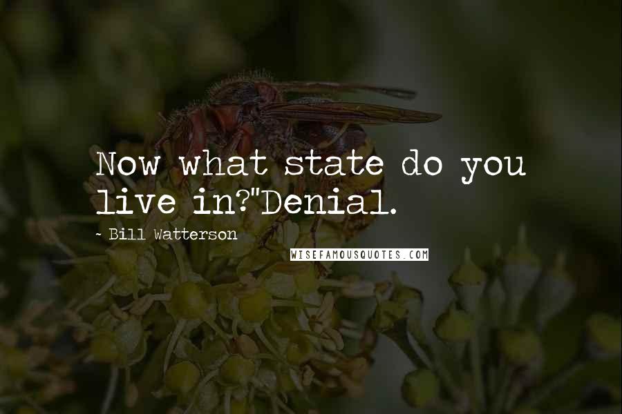 Bill Watterson Quotes: Now what state do you live in?''Denial.