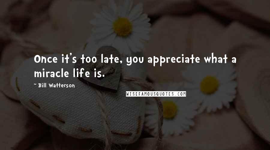 Bill Watterson Quotes: Once it's too late, you appreciate what a miracle life is.