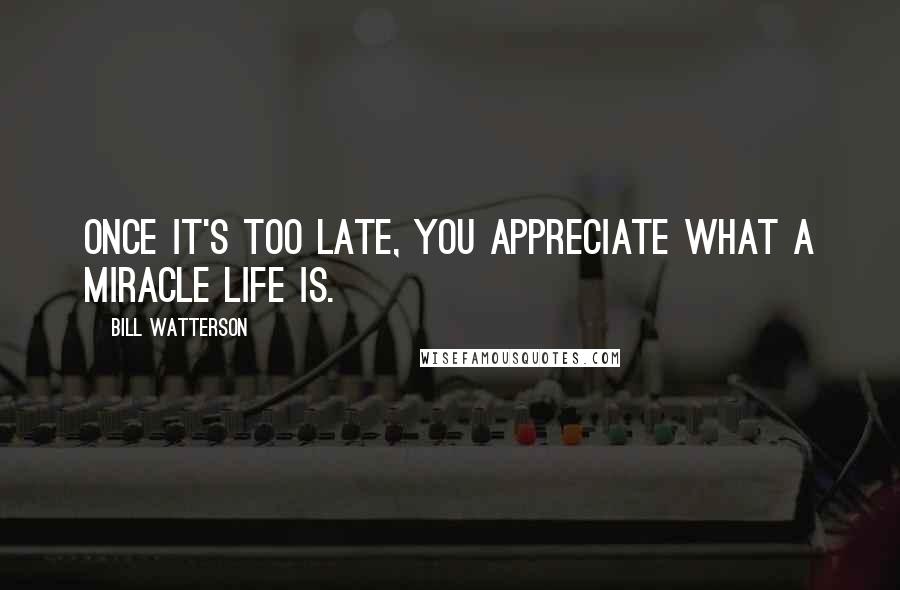 Bill Watterson Quotes: Once it's too late, you appreciate what a miracle life is.