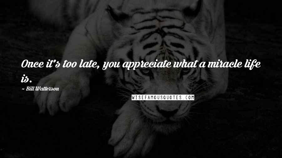 Bill Watterson Quotes: Once it's too late, you appreciate what a miracle life is.