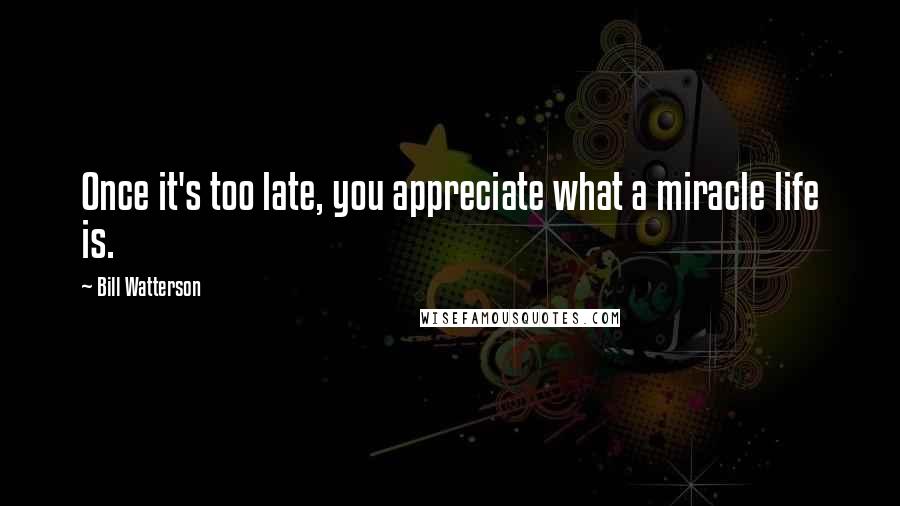 Bill Watterson Quotes: Once it's too late, you appreciate what a miracle life is.