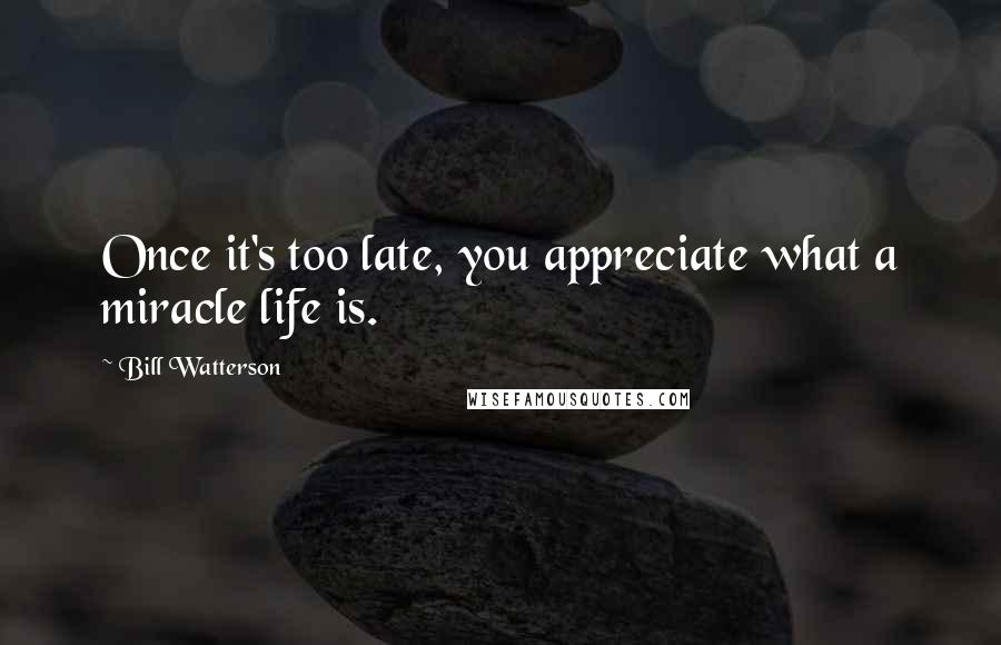 Bill Watterson Quotes: Once it's too late, you appreciate what a miracle life is.