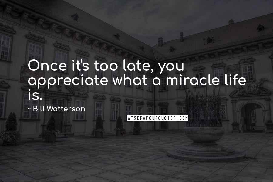 Bill Watterson Quotes: Once it's too late, you appreciate what a miracle life is.