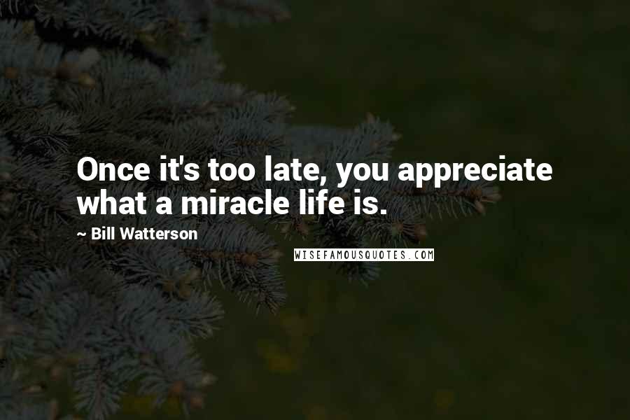 Bill Watterson Quotes: Once it's too late, you appreciate what a miracle life is.