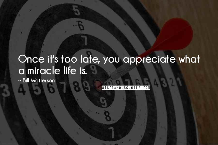 Bill Watterson Quotes: Once it's too late, you appreciate what a miracle life is.