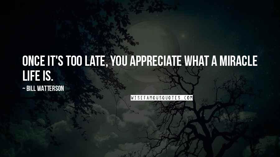 Bill Watterson Quotes: Once it's too late, you appreciate what a miracle life is.