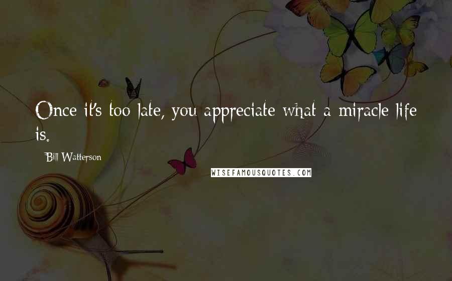 Bill Watterson Quotes: Once it's too late, you appreciate what a miracle life is.