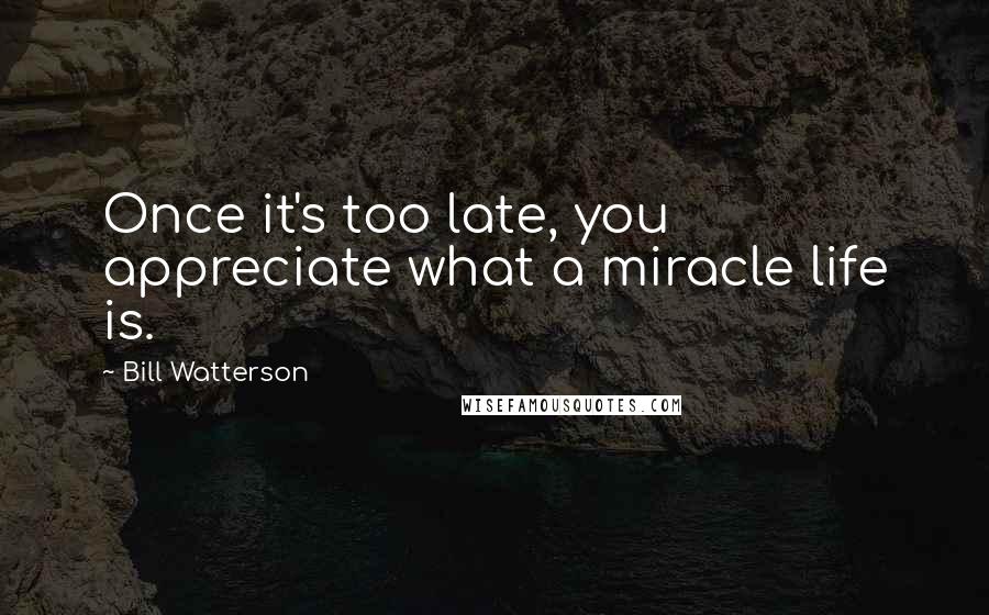 Bill Watterson Quotes: Once it's too late, you appreciate what a miracle life is.