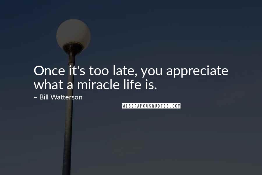 Bill Watterson Quotes: Once it's too late, you appreciate what a miracle life is.