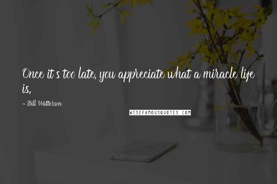 Bill Watterson Quotes: Once it's too late, you appreciate what a miracle life is.