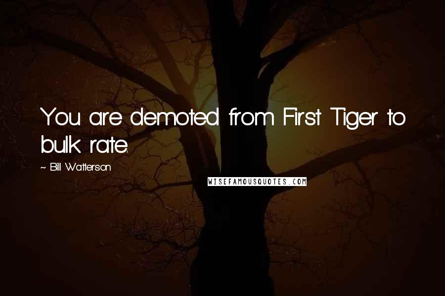 Bill Watterson Quotes: You are demoted from First Tiger to bulk rate.