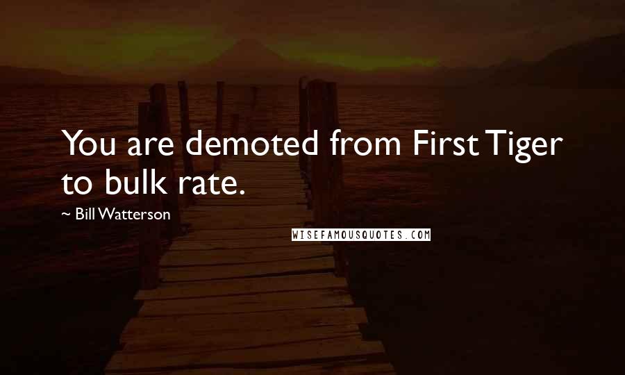 Bill Watterson Quotes: You are demoted from First Tiger to bulk rate.