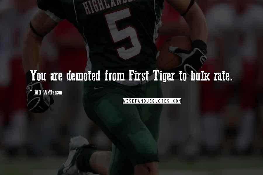 Bill Watterson Quotes: You are demoted from First Tiger to bulk rate.