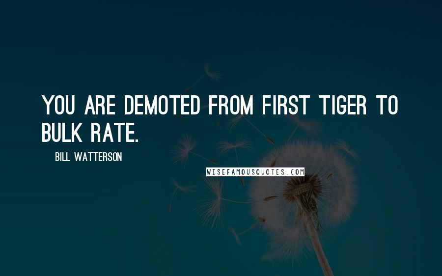 Bill Watterson Quotes: You are demoted from First Tiger to bulk rate.