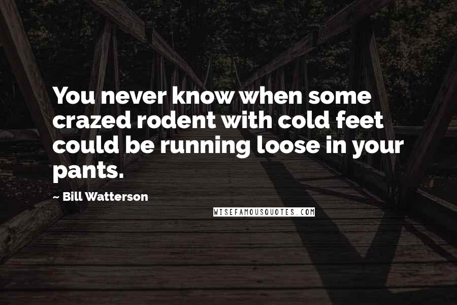 Bill Watterson Quotes: You never know when some crazed rodent with cold feet could be running loose in your pants.