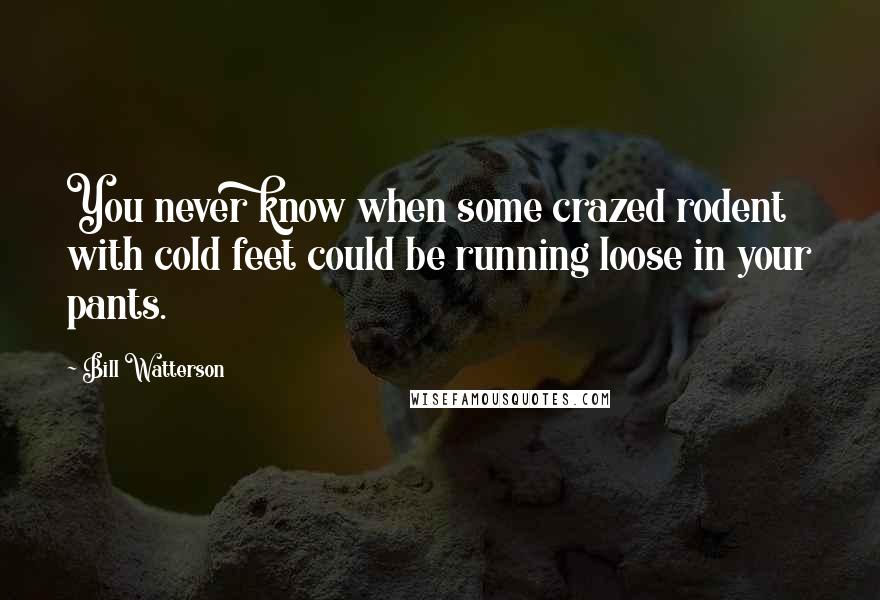 Bill Watterson Quotes: You never know when some crazed rodent with cold feet could be running loose in your pants.