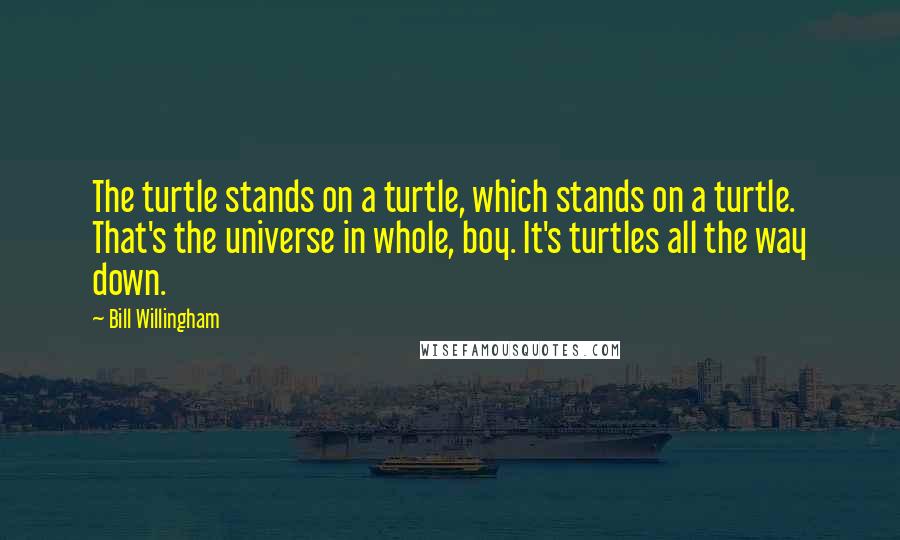 Bill Willingham Quotes: The turtle stands on a turtle, which stands on a turtle. That's the universe in whole, boy. It's turtles all the way down.