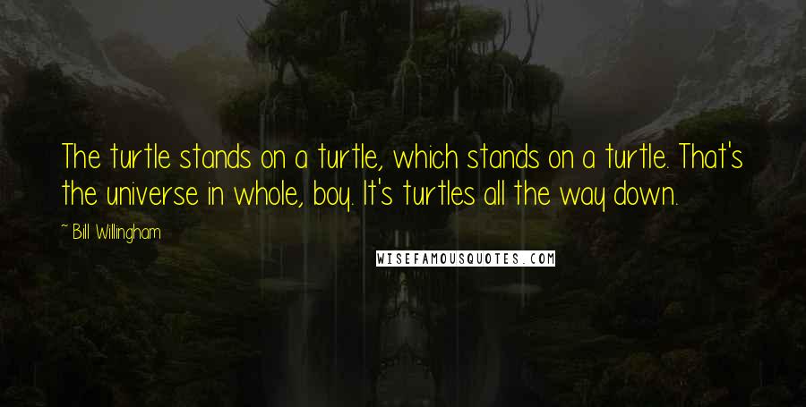 Bill Willingham Quotes: The turtle stands on a turtle, which stands on a turtle. That's the universe in whole, boy. It's turtles all the way down.