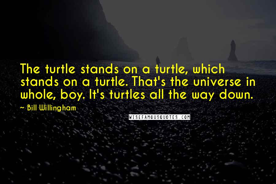 Bill Willingham Quotes: The turtle stands on a turtle, which stands on a turtle. That's the universe in whole, boy. It's turtles all the way down.