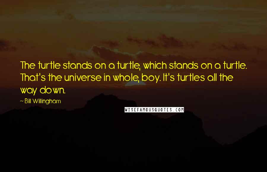 Bill Willingham Quotes: The turtle stands on a turtle, which stands on a turtle. That's the universe in whole, boy. It's turtles all the way down.