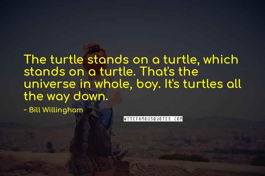 Bill Willingham Quotes: The turtle stands on a turtle, which stands on a turtle. That's the universe in whole, boy. It's turtles all the way down.