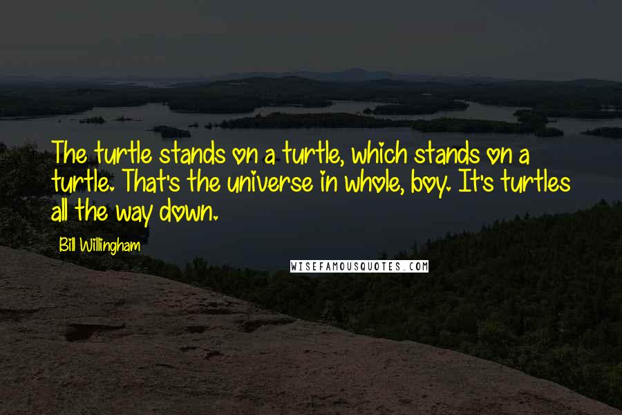 Bill Willingham Quotes: The turtle stands on a turtle, which stands on a turtle. That's the universe in whole, boy. It's turtles all the way down.