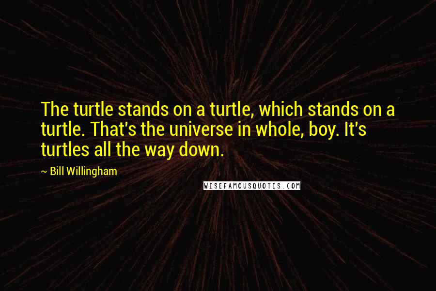 Bill Willingham Quotes: The turtle stands on a turtle, which stands on a turtle. That's the universe in whole, boy. It's turtles all the way down.