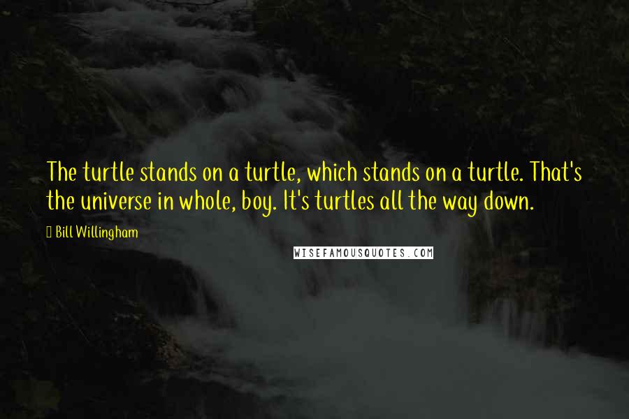 Bill Willingham Quotes: The turtle stands on a turtle, which stands on a turtle. That's the universe in whole, boy. It's turtles all the way down.