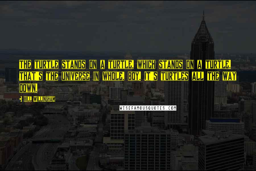 Bill Willingham Quotes: The turtle stands on a turtle, which stands on a turtle. That's the universe in whole, boy. It's turtles all the way down.