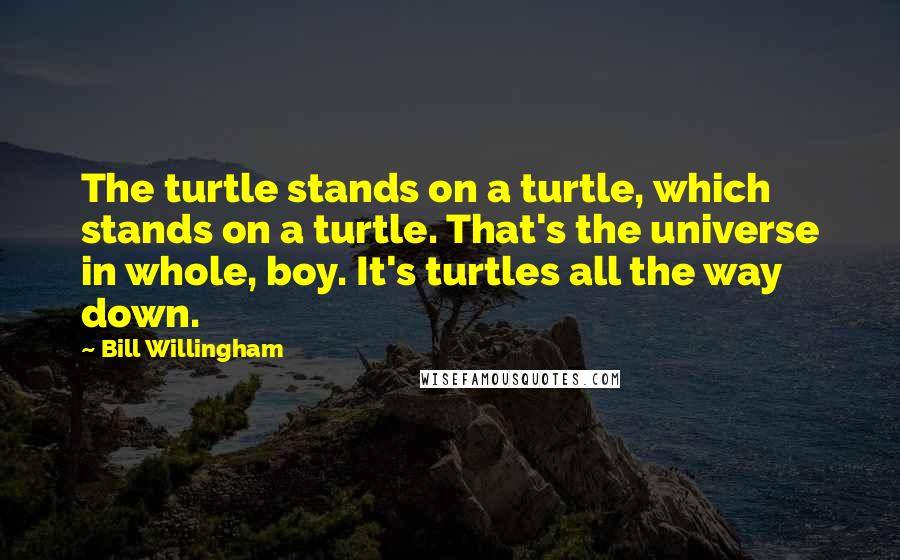 Bill Willingham Quotes: The turtle stands on a turtle, which stands on a turtle. That's the universe in whole, boy. It's turtles all the way down.