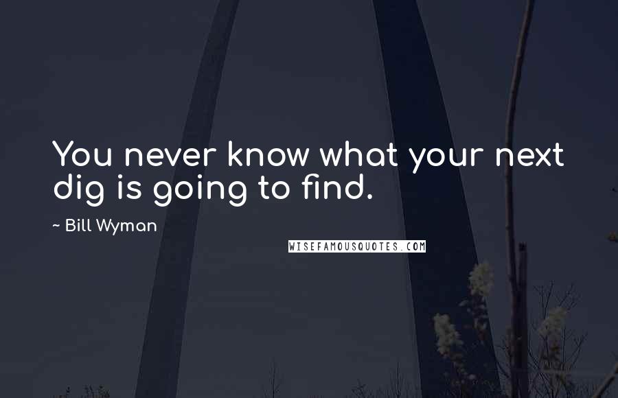 Bill Wyman Quotes: You never know what your next dig is going to find.