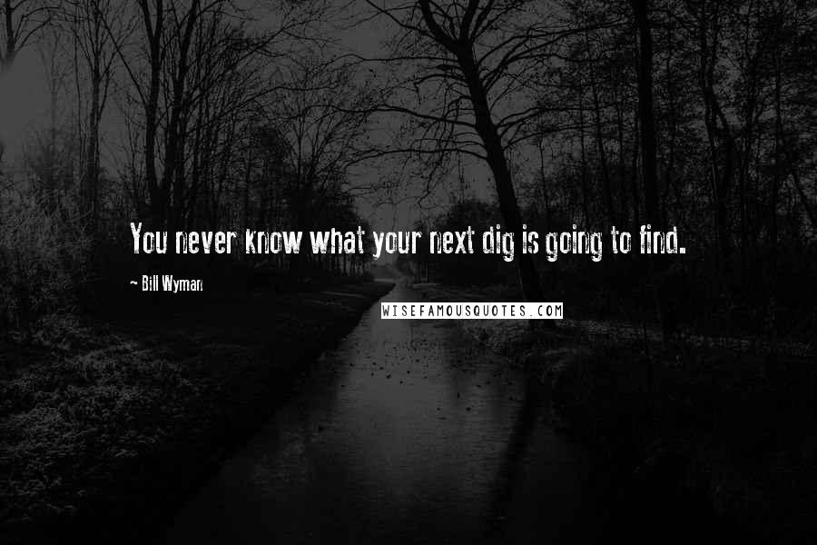 Bill Wyman Quotes: You never know what your next dig is going to find.