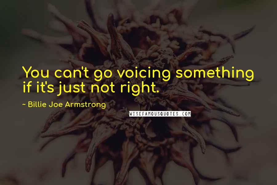 Billie Joe Armstrong Quotes: You can't go voicing something if it's just not right.