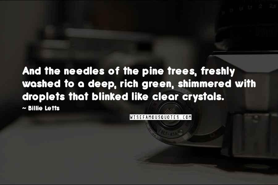 Billie Letts Quotes: And the needles of the pine trees, freshly washed to a deep, rich green, shimmered with droplets that blinked like clear crystals.