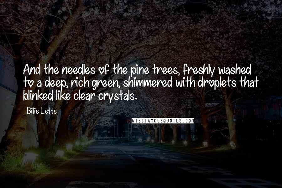 Billie Letts Quotes: And the needles of the pine trees, freshly washed to a deep, rich green, shimmered with droplets that blinked like clear crystals.