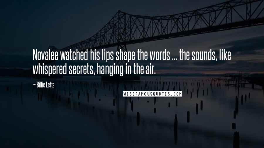 Billie Letts Quotes: Novalee watched his lips shape the words ... the sounds, like whispered secrets, hanging in the air.