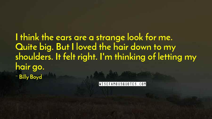 Billy Boyd Quotes: I think the ears are a strange look for me. Quite big. But I loved the hair down to my shoulders. It felt right. I'm thinking of letting my hair go.
