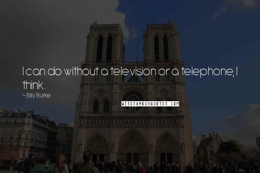 Billy Burke Quotes: I can do without a television or a telephone, I think.