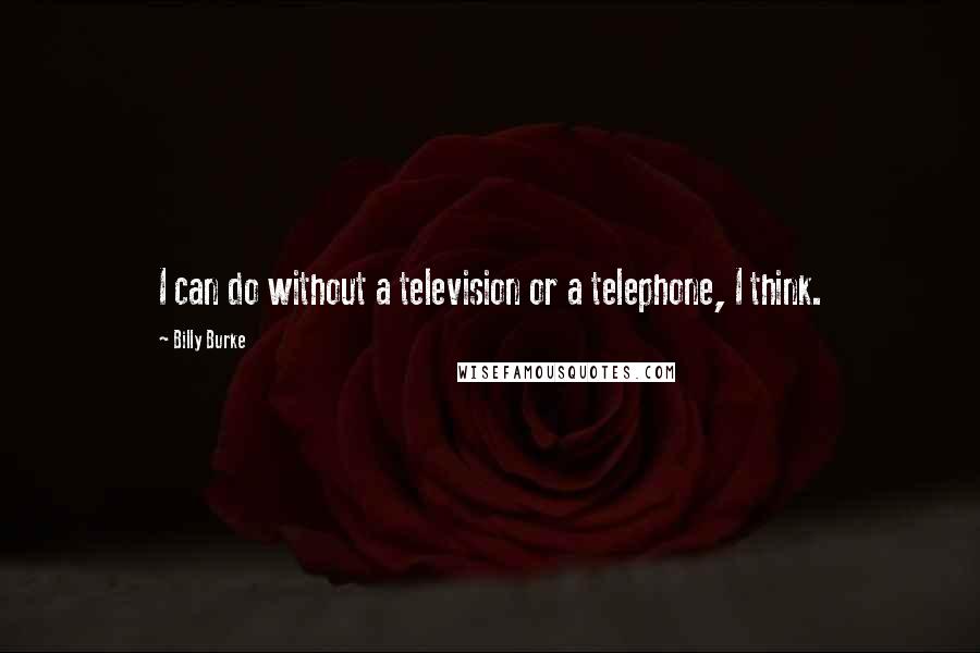 Billy Burke Quotes: I can do without a television or a telephone, I think.