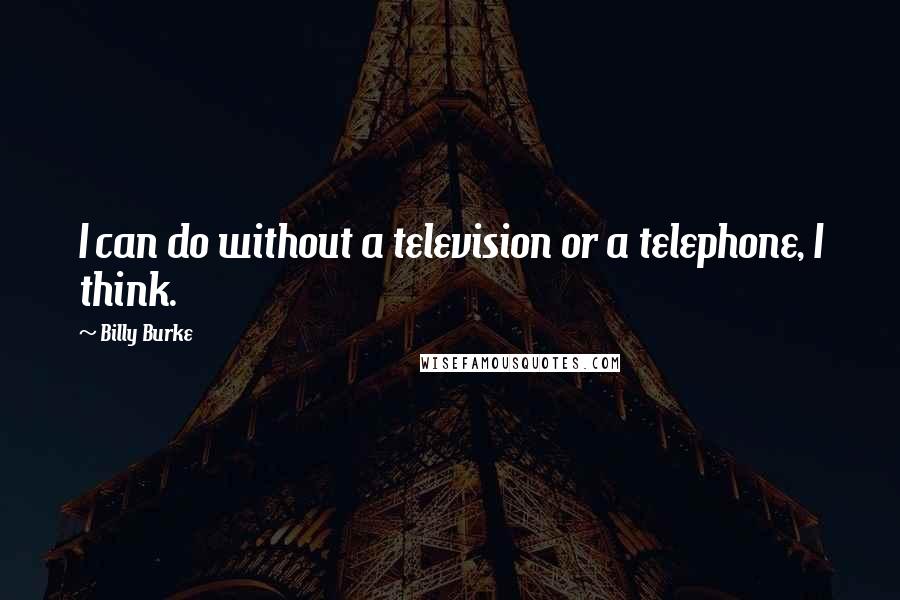 Billy Burke Quotes: I can do without a television or a telephone, I think.