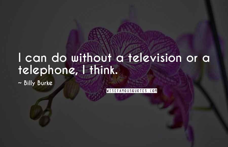 Billy Burke Quotes: I can do without a television or a telephone, I think.