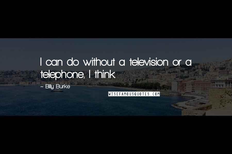 Billy Burke Quotes: I can do without a television or a telephone, I think.