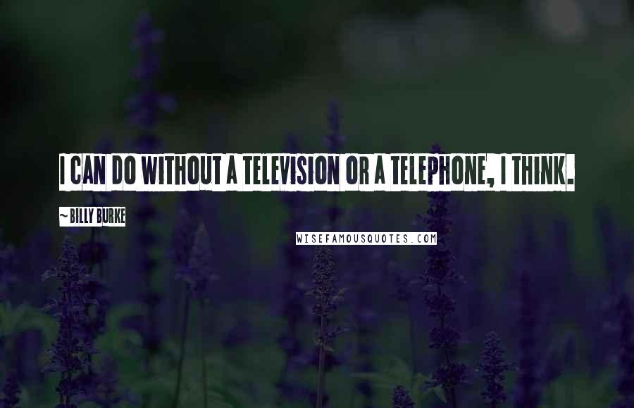 Billy Burke Quotes: I can do without a television or a telephone, I think.