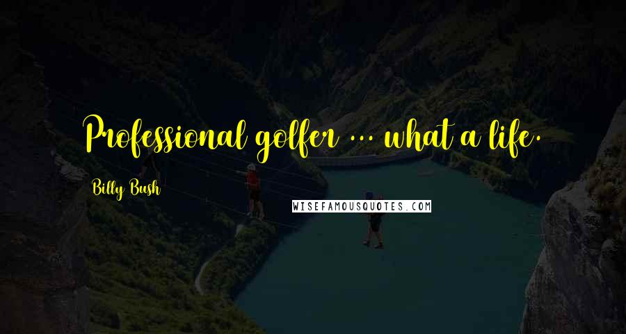 Billy Bush Quotes: Professional golfer ... what a life.
