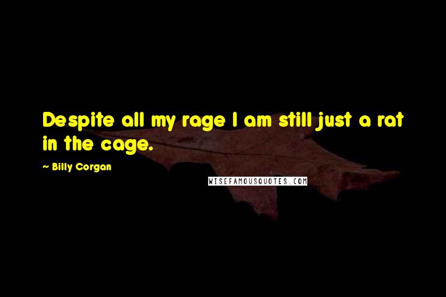 Billy Corgan Quotes: Despite all my rage I am still just a rat in the cage.