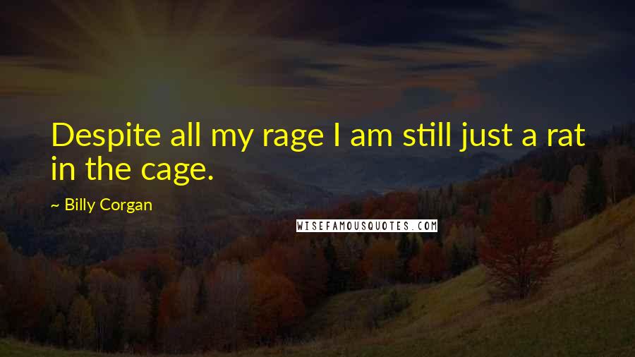 Billy Corgan Quotes: Despite all my rage I am still just a rat in the cage.