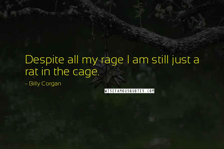 Billy Corgan Quotes: Despite all my rage I am still just a rat in the cage.