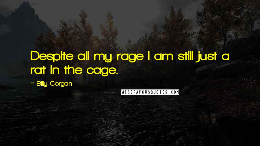 Billy Corgan Quotes: Despite all my rage I am still just a rat in the cage.