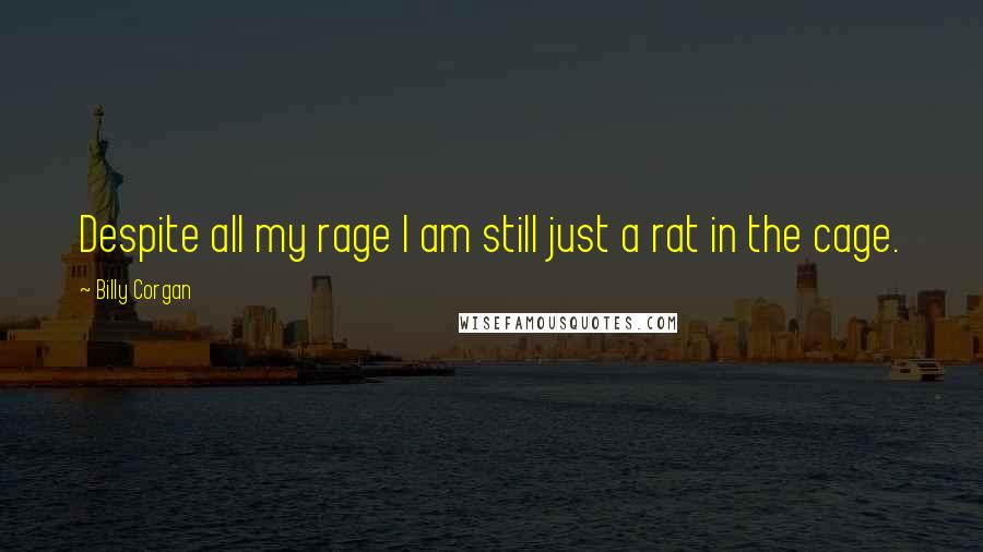 Billy Corgan Quotes: Despite all my rage I am still just a rat in the cage.